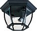 1029BK - Maxim Lighting - Three Light Outdoor Flush Mount Black Finish with Clear Glass -