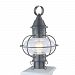 1611-GM-CL - Norwell Lighting - Vidalia Onion - One Light Medium Outdoor Post Mount Gun Metal Finish with Clear Glass - Vidalia Onion