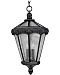 40261CDOB - Maxim Lighting - Essex Vx 3-light Outdoor Hanging Lantern Oriental Bronze Finish With Seedy Glass - Essex VX