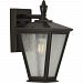 P560166-020 - Progress Lighting - Cardiff - 12.5 Inch 1 Light Outdoor Wall Lantern Antique Bronze Finish with Clear Seeded Glass - Cardiff