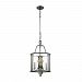 32311/3 - Elk Lighting - Neo Classica - Three Light Chandelier Aged Black Nickel Finish with Weathered Birch/Clear Crystal - Neo Classica