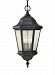 OL5911EN/BK - Generation Lighting - Martinsville - 21 Inch 10.5W 3 LED Outdoor Pendant Black Finish With Clear Seeded Glass - Martinsville