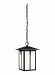 6252701EN3-12 - Generation Lighting - Tomek - 13 Inch 9.3W 1 LED Outdoor Pendant Black Finish With Etched/White Glass - Tomek