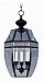6085CLPE - Maxim Lighting - 3 Light Pendant Outdoor Pewter Finish - Clear Glass - Canterbury