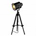 D1734 - Dimond Home - Ethan - One Light Adjustable Tripod Table Lamp Restoration Black Finish with Metal Shade - Ethan