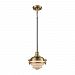 16071/1-LA - Elk Lighting - Riley - One Light Pendant with Recessed Lighting Kit Satin Brass/Oil Rubbed Bronze Finish with Opal White Glass - Riley