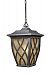 42273/1 - Elk Lighting - Shelburne - One Light Outdoor Hanging Lantern Weathered Charcoal Finish - Shelburne