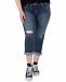 Silver Jeans Co. Plus Size Distressed Avery Capri Jeans