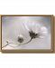 Amanti Art Simply Cosmos by Mandy Disher Canvas Framed Art