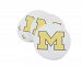 University of Michigan Thirstystone Coasters, Set of 4