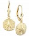 Sand Dollar Drop Earrings in 14k Gold