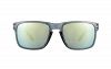 Oakley Holbrook 9102 46 Crystal Black Emerald Sunglasses