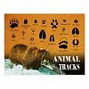 Animal Tracks Postcard
