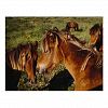 Wild Horses on Sable Island, Nova Scotia Postcard