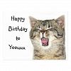 Happy Birthday kitten Postcard