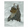 Snow Squirrel Postcard