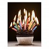 Cupcake with birthday candles Postcard