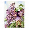 The Lilac Fairy Postcard