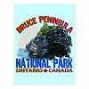 Bruce Peninsula National Park Postcard