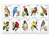 USPS Forever Stamps Songbirds Booklet of 20 (1, 20 stamps) Size: 20 stamps PackageQuantity: 1, Model: 689304, Toys & Play by Kids & Play
