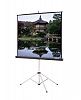 Da-Lite Picture King Projection Screen - 136" - 1:1 - Wall Mount, Ceiling Mount