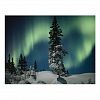 Snow blanketed evergreen trees, Manitoba, Canada Postcard