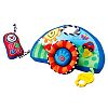 Fisher Price Miracles & Milestones™ Musical Activity Dashboard