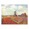 Netherlands - Monet Postcard