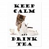 keep calm and drink tea kitten Postcard