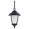 1-Light Forged Iron Outdoor Pendant