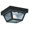 2-Light Clear Outdoor Ceiling Fixture