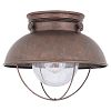1-Light Weathered Copper Outdoor Ceiling Fixture