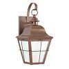 1-Light Weathered Copper Outdoor Wall Lantern