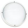 1-Light White Outdoor Wall or Ceiling Fixture