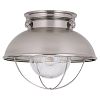 1-Light Brushed Stainless Outdoor Ceiling Fixture