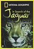 In Search Of The Jaguar