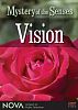 Mystery of the Senses: Vision