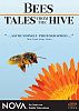 Bees: Tales from the Hive