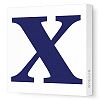 Avalisa Stretched Canvas Lower Letter X Nursery Wall Art, Navy, 36 x 36