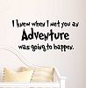 I knew when I met you an adventure was going to happen. cute Nursery Wall Vinyl Decal Quote Art Saying Sticker stencil decor by Ideogram Designs