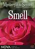 Mystery of the Senses: Smell