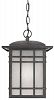Quoizel HC1909IBFL Hillcrest 1-Light Energy Saving Outdoor Hanging Lantern, I. . .