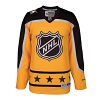 2017 NHL All-Star Atlantic Division Premier Replica GOLD Hockey Jersey