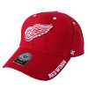 Detroit Red Wings Youth Frost Cap