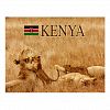 Lion and cub, Tsavo, Kenya Postcard