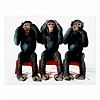Three chimpanzees Postcard