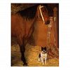 At the Stables, Horse and Dog by Edgar Degas Postcard