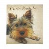 Yorkshire Terrier Dog Notepad