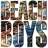 The Beach Boys (Vinyl)