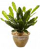 Nearly Natural Double Cactus Artificial Plant in Glazed Clay Pot